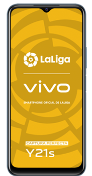 vivo y21s